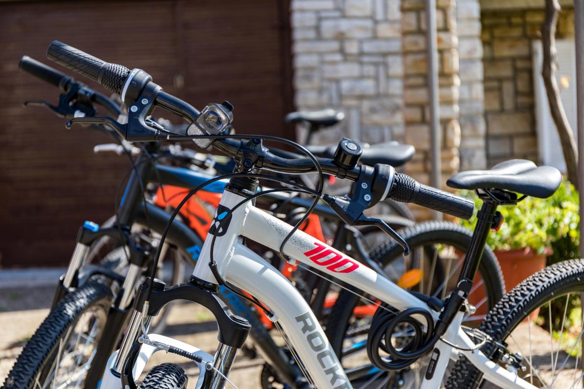 Apartment Tesic Close To The Sea With Shared 4Xbicycles Fažana Eksteriør bilde