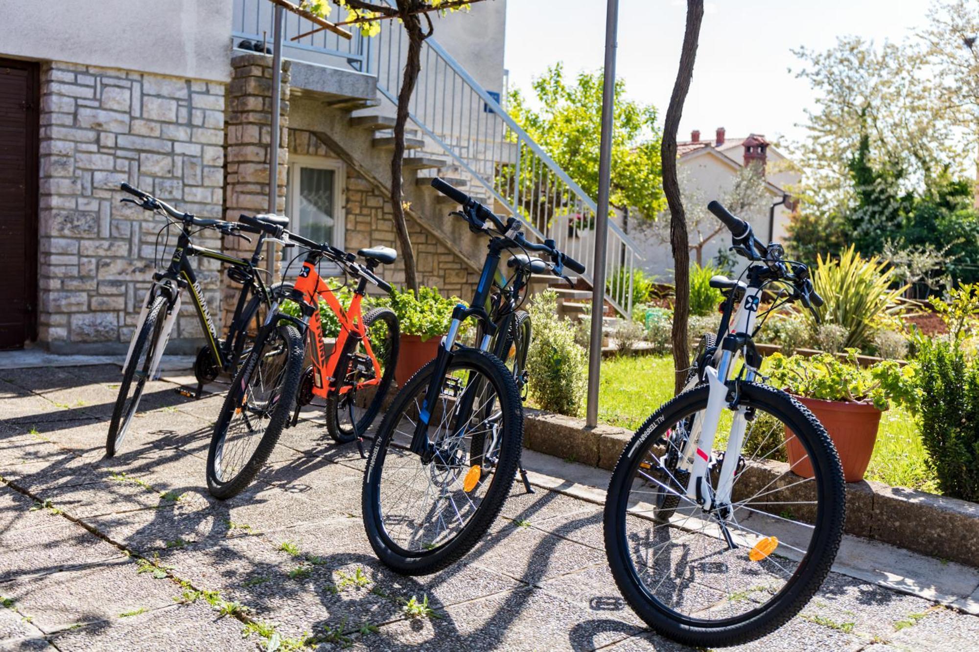 Apartment Tesic Close To The Sea With Shared 4Xbicycles Fažana Eksteriør bilde