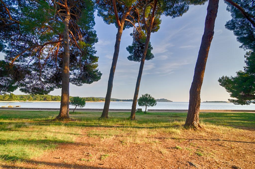 Apartment Tesic Close To The Sea With Shared 4Xbicycles Fažana Eksteriør bilde